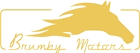  Brumby Motors